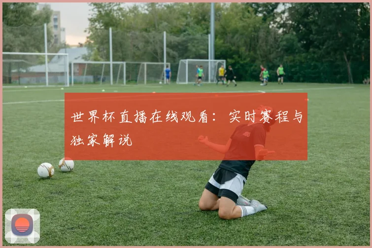 世界杯直播在线观看：实时赛程与独家解说