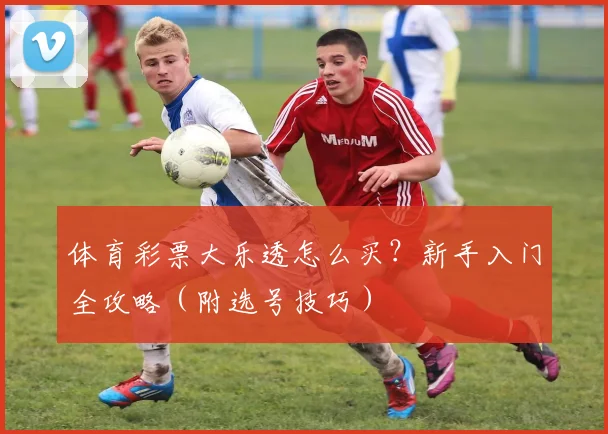 体育彩票大乐透怎么买？新手入门全攻略（附选号技巧）