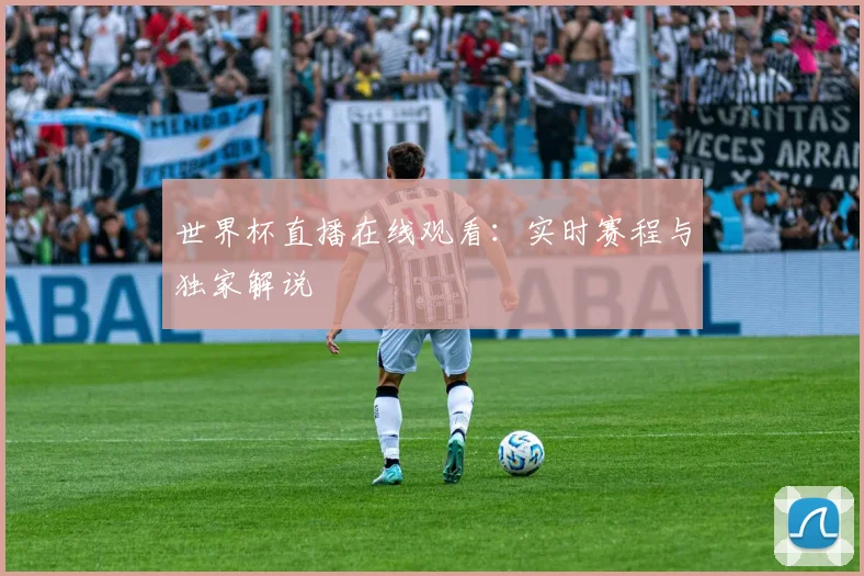 世界杯直播在线观看：实时赛程与独家解说