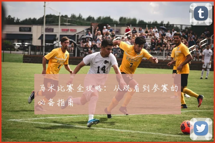 马术比赛全攻略：从观看到参赛的必备指南