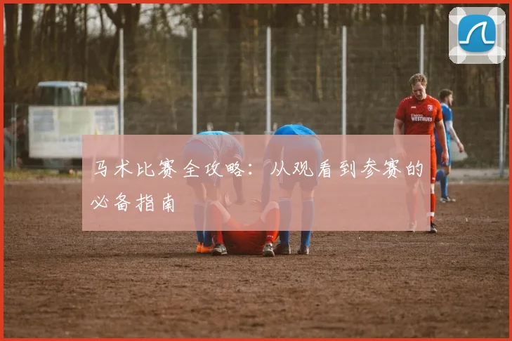 马术比赛全攻略：从观看到参赛的必备指南
